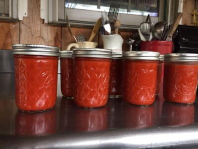 Making Fermented Hot Sauce at Home Image